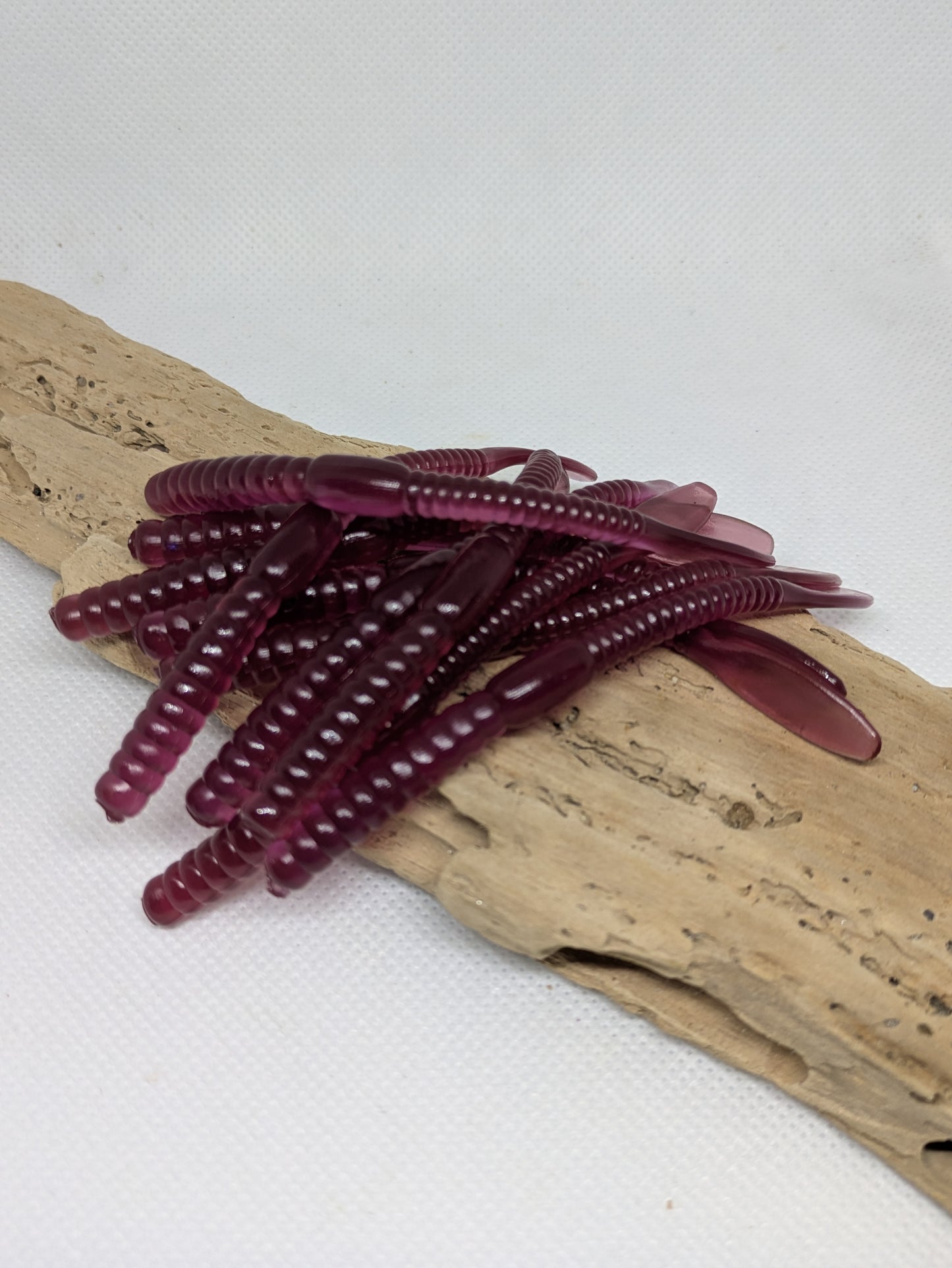 Wyandotte Worm - Junebug